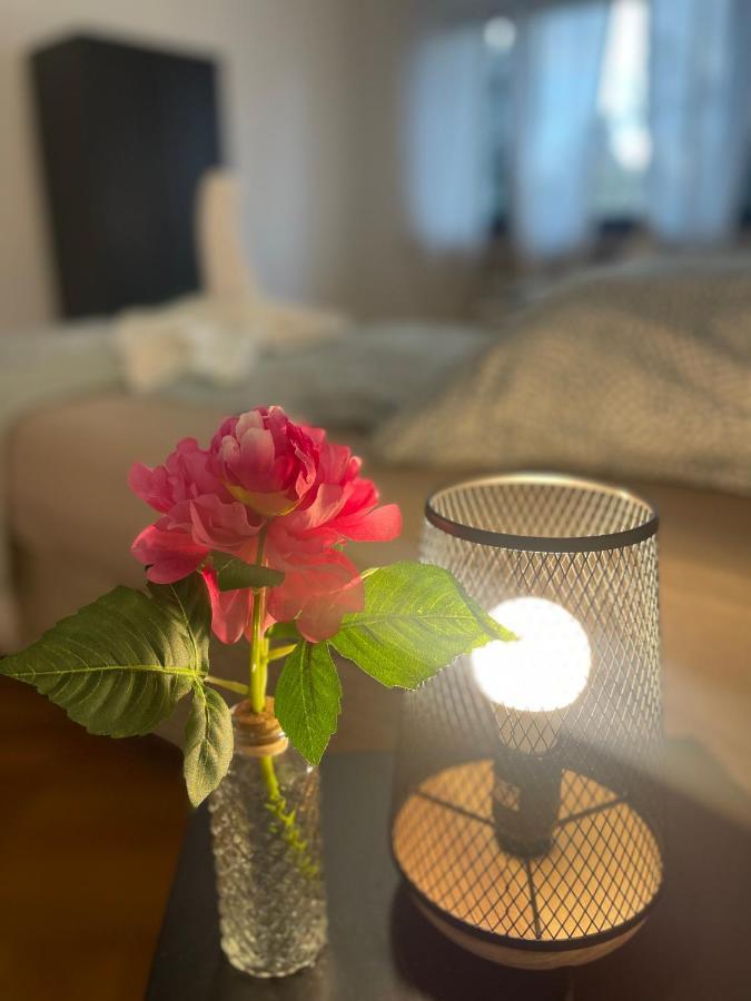 Comfortable Shared Apartment With Private Room In 韦塞林 外观 照片